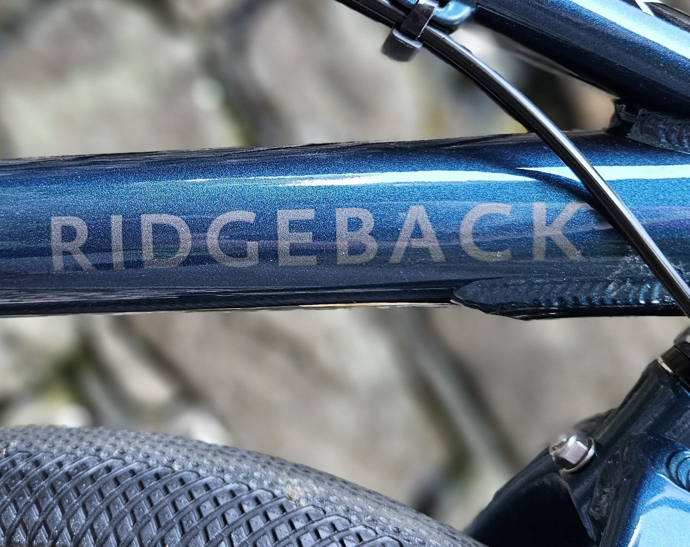 Ridgeback branding on the frame of the dimension 20 kids bike