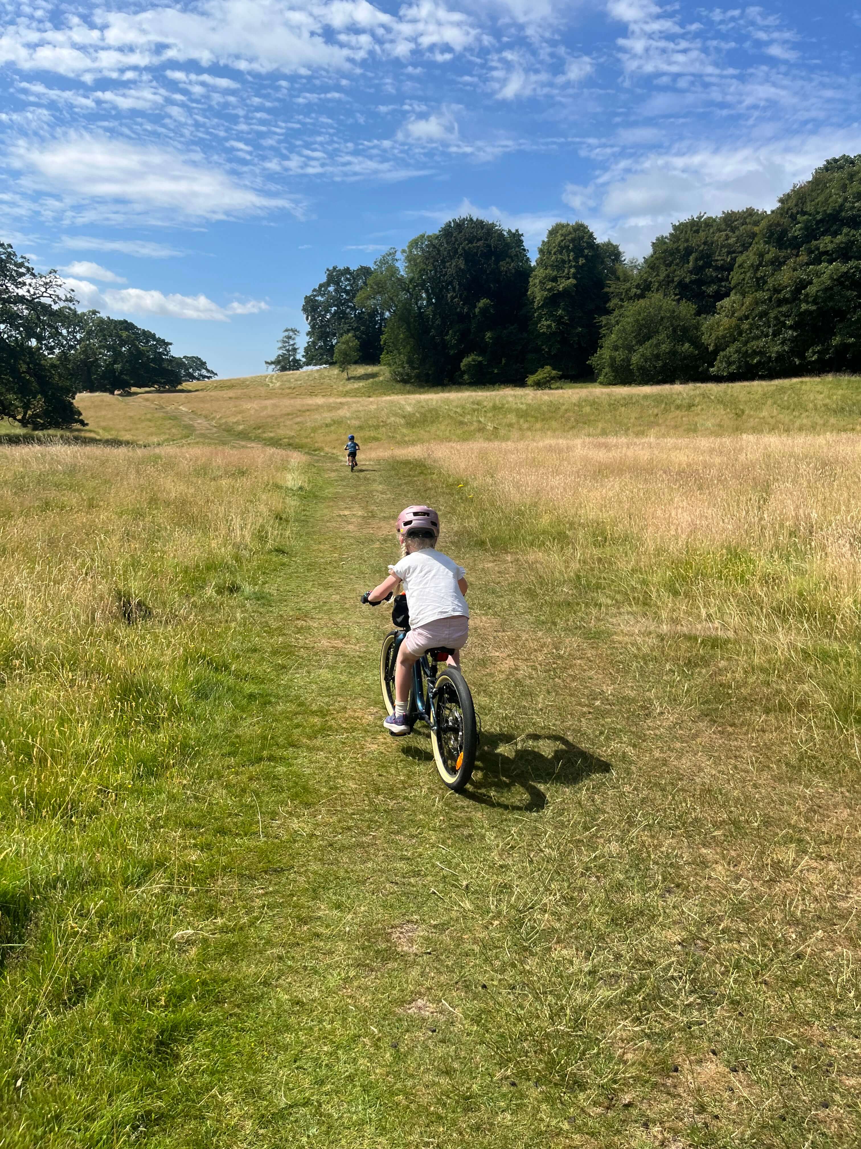 Ridgeback Dimension 20 inch kids bike being ridden on a grassy trail with blue skies