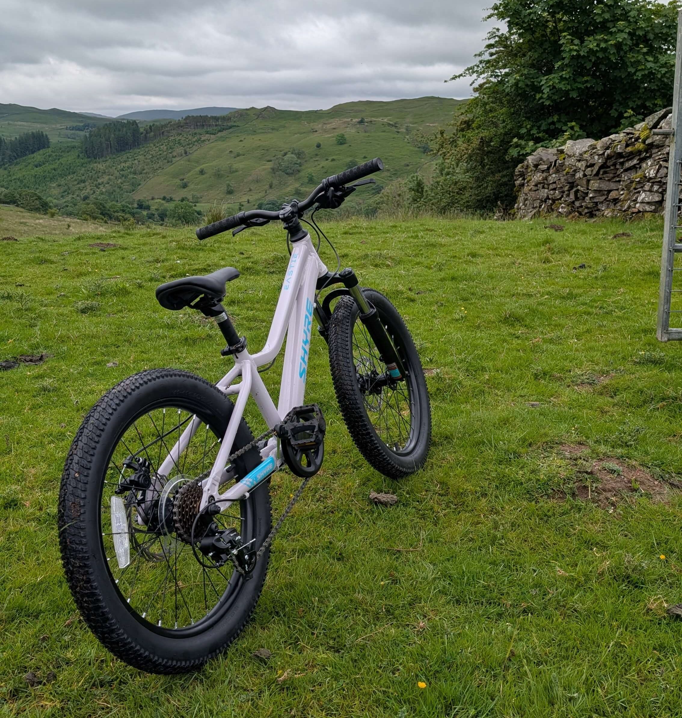 Shyre Eastie 20 kids bike in a Cumbrian field