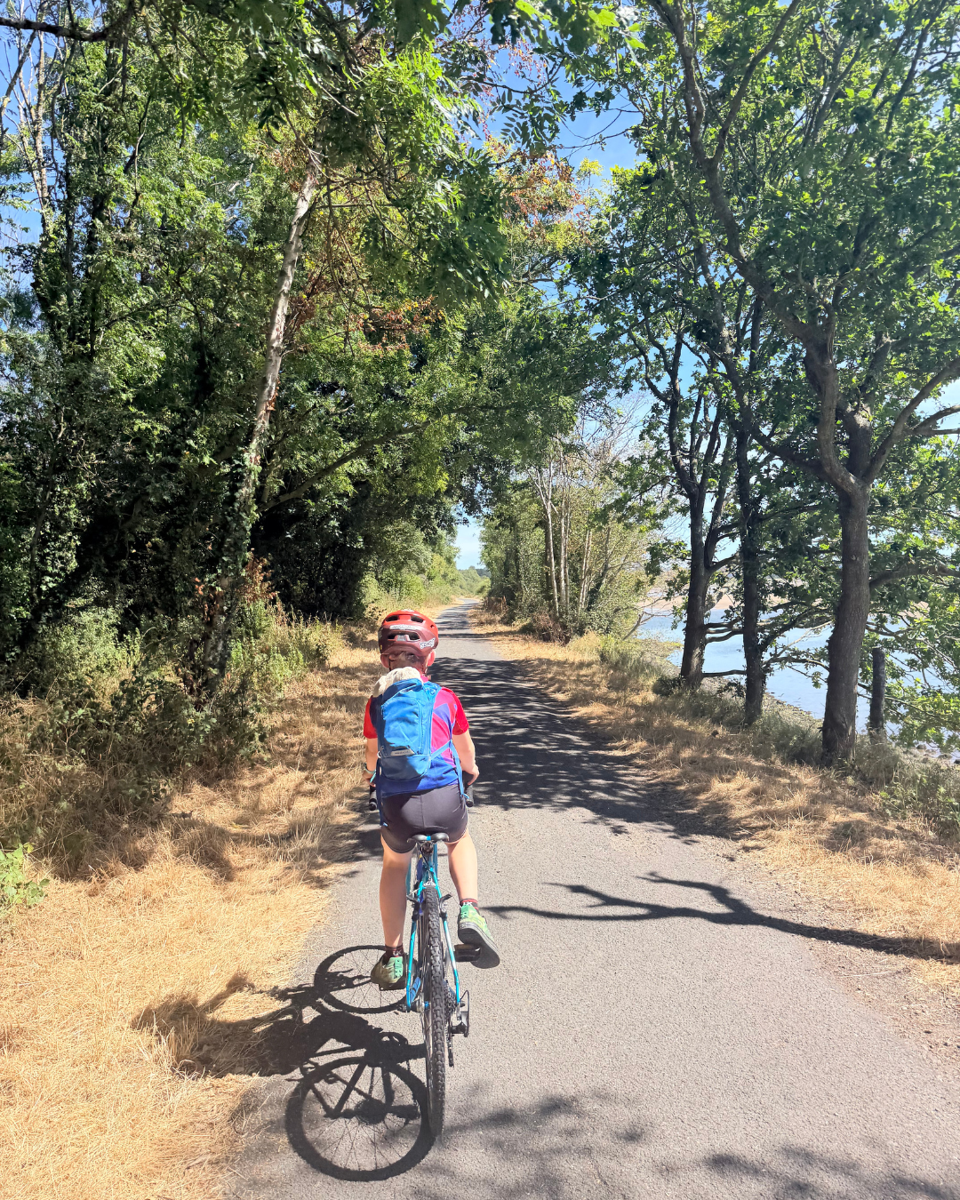 Cycling the Devon coast to coast with an 8 year old child